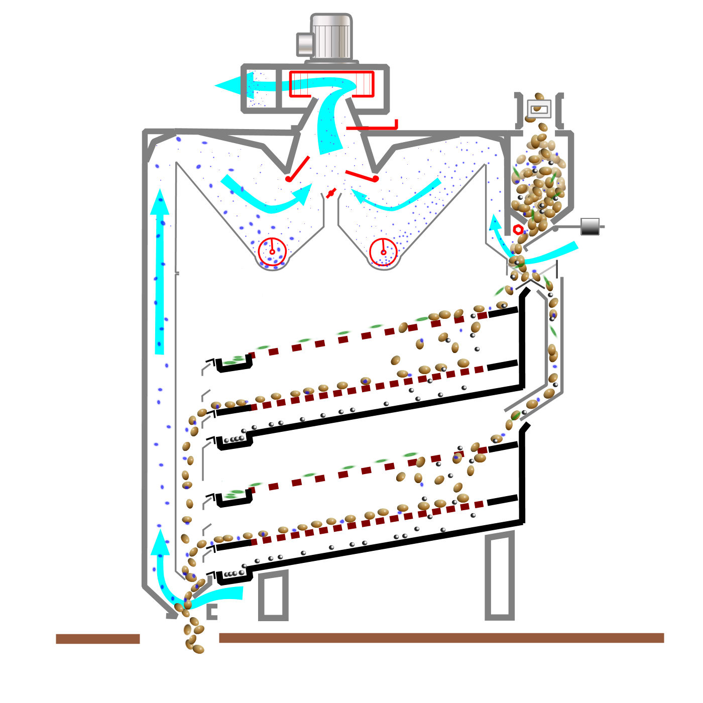 NSD2_diagramme