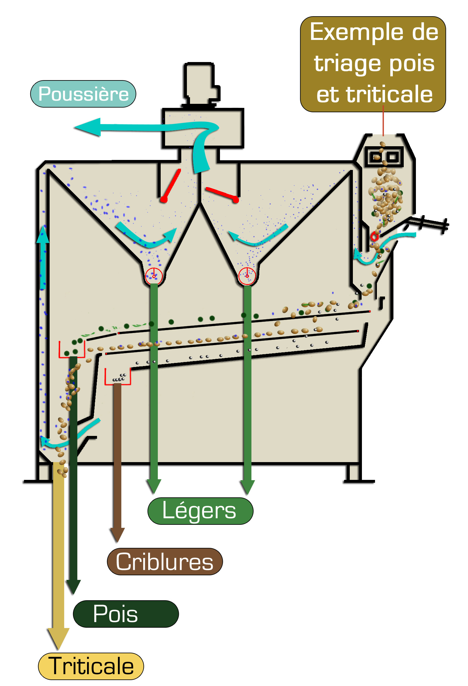 SVD100_schema