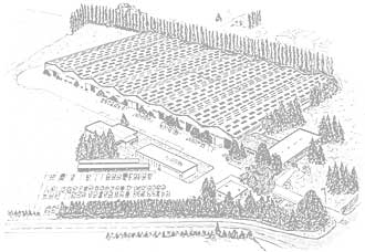 VisuelUsine_1960